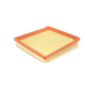 FILTRO SEINECA SAF 8124 (ARL 6080) FAP 2219