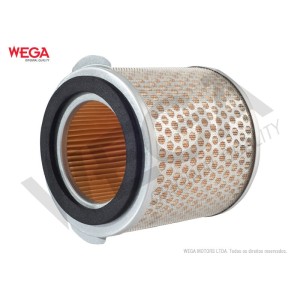 FILTRO WEGA WR 005 (ARM441/1)